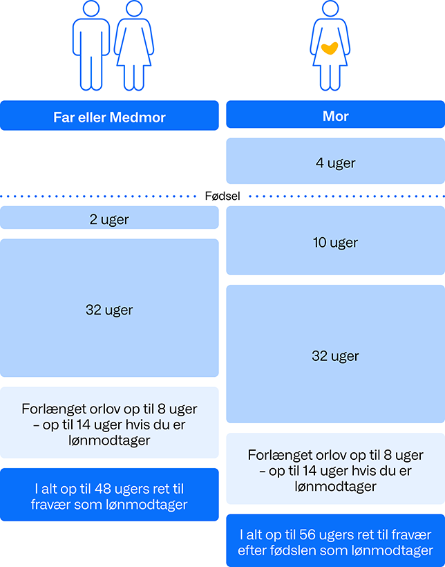 Oversigt over ret til fravær pga. barsel.