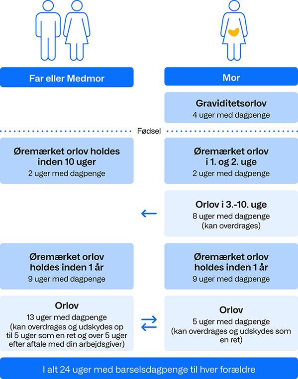 Oversigt over orlov med barselsdagpenge.