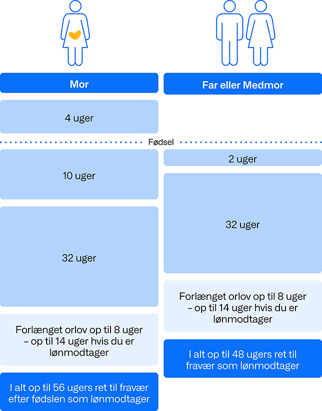 Oversigt over ret til fravær pga. barsel.